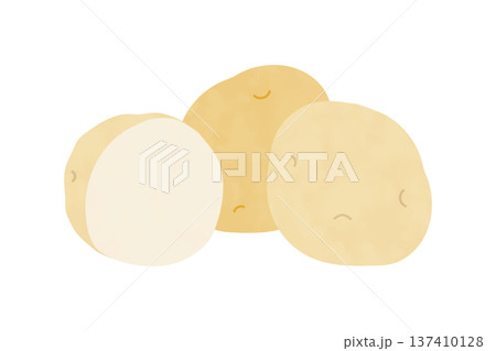 新じゃがいもの手描き風イラスト 137410128