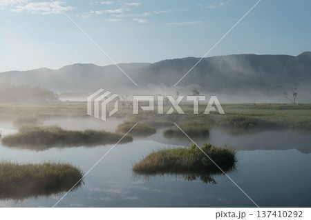 朝霧に包まれた尾瀬の湿原と池塘 静けさ広がる早朝の風景 朝霧に包まれた尾瀬の湿原と池塘 静けさ広がる早朝の風景 137410292
