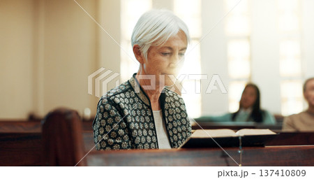 Worship, reading book or old woman in church for God, holy spirit or religion in cathedral or Christian community. Faith, bible or elderly person praying in chapel studying to praise Jesus Christ 137410809