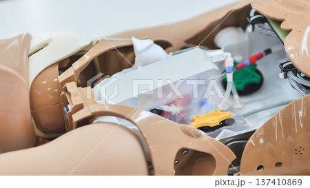 Medical training mannequin torso showing internal components and simulation equipment 137410869