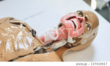 Medical training mannequin showing open mouth and airway for simulation and education Medical training mannequin showing open mouth and airway for simulation and education 137410917