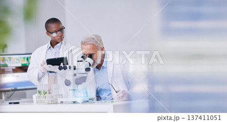 Science, black woman with mockup and man with microscope, biotech and digital research in plants for medicine. Scientist team in study on nature, growth and digital analysis on tablet in laboratory. Science, black woman with mockup and man with microscope, biotech and digital research in plants for medicine. Scientist team in study on nature, growth and digital analysis on tablet in laboratory. 137411051