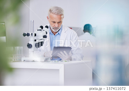 Biotech, laboratory and scientist with microscope, tablet and research with plants, botany or sustainable medicine. Professional science man with study on nature, growth and digital analysis in lab. Biotech, laboratory and scientist with microscope, tablet and research with plants, botany or sustainable medicine. Professional science man with study on nature, growth and digital analysis in lab. 137411072