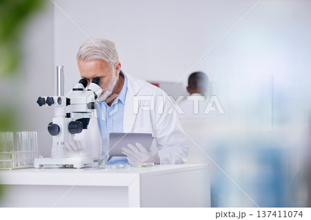 Science, laboratory and man with microscope, tablet and research with plants, botany or sustainable medicine. Professional scientist with study on nature, growth and digital analysis of leaves in lab Science, laboratory and man with microscope, tablet and research with plants, botany or sustainable medicine. Professional scientist with study on nature, growth and digital analysis of leaves in lab 137411074