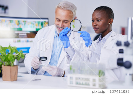 Research, scientists and team for ecology science, plant innovation and studying in lab. Together, diversity and man and woman with agriculture for futuristic environment analysis or sustainability Research, scientists and team for ecology science, plant innovation and studying in lab. Together, diversity and man and woman with agriculture for futuristic environment analysis or sustainability 137411085