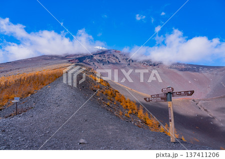 （静岡県）富士山宝永火口遊歩道から山頂を見上げる 137411206