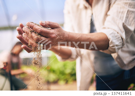 Farming, hands and outdoor with soil, sand or dirt for growth, inspection or drought at agro job. Person, dry dust and holding for agriculture, climate change or sustainability in closeup for ecology 137411641
