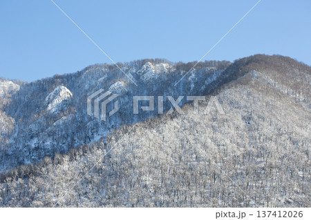 Snow-covered forest in the Caucasus Mountains, Sochi, Russia. Snow-covered forest in the Caucasus Mountains, Sochi, Russia. 137412026