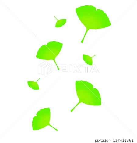 緑色のたくさんのイチョウの葉 137412362