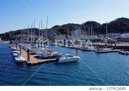 小型艇やディンギーが多く停泊する晴天の葉山港 137412680