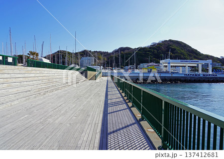 木製のテラスが散歩に最適な葉山マリーナ 木製のテラスが散歩に最適な葉山マリーナ 137412681