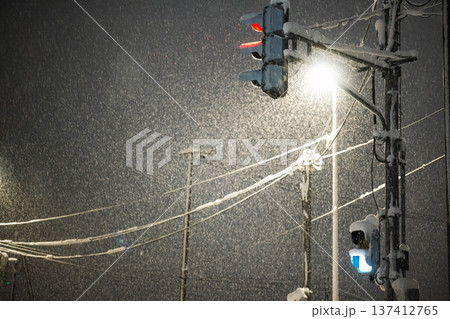 猛吹雪の深夜に街灯に照らされる雪国の交通インフラ 猛吹雪の深夜に街灯に照らされる雪国の交通インフラ 137412765