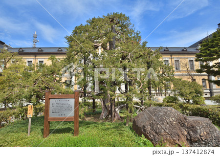 京都府庁旧本館　本館正面 137412874