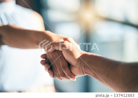 Handshake, introduction and hands of people meeting for partnership or agreement together as a team with trust. Greeting, accept and thank you or welcome gesture for deal, collaboration and support Handshake, introduction and hands of people meeting for partnership or agreement together as a team with trust. Greeting, accept and thank you or welcome gesture for deal, collaboration and support 137412883