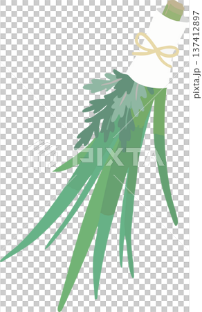 Vector illustration of iris and mugwort for Boys' Day Japanese style event material 137412897