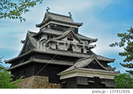 松江城　天守閣 137412926