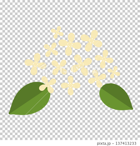 黄色のたくさんの小さい花 137413233
