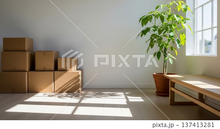 引っ越し直後の段ボール箱とソファがある明るいリビング空間 137413281