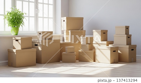 引っ越し直後の段ボール箱とソファがある明るいリビング空間 137413294