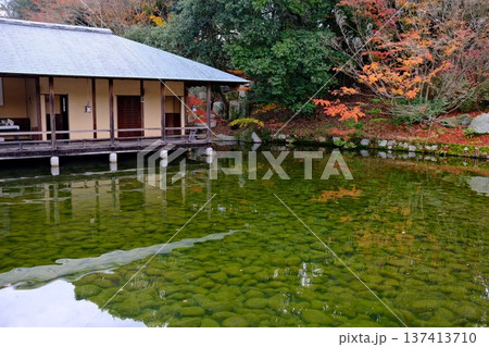 三景園の池の景色 三景園の池の景色 137413710