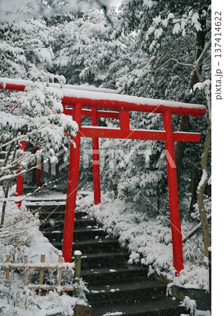 神社の雪景色 神社の雪景色 137414622