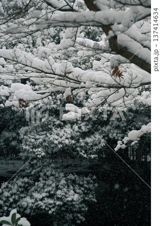 神社の雪景色 137414634