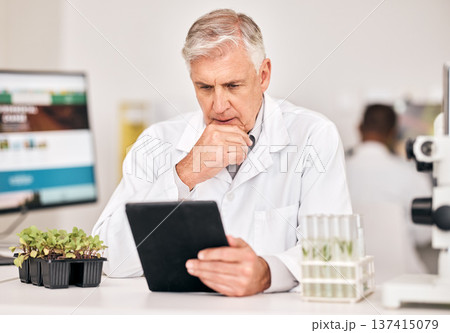 Science man, plants and thinking on tablet for agriculture solution, problem solving and growth analysis. Scientist or senior doctor focus on digital results or sustainability research in laboratory Science man, plants and thinking on tablet for agriculture solution, problem solving and growth analysis. Scientist or senior doctor focus on digital results or sustainability research in laboratory 137415079