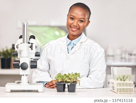 Science, plant and portrait of black woman in laboratory for sustainability research, botany or biochemistry. Pharmacy, medical and healthcare with scientist and for product, ecology or agriculture Science, plant and portrait of black woman in laboratory for sustainability research, botany or biochemistry. Pharmacy, medical and healthcare with scientist and for product, ecology or agriculture 137415118