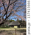 桜と古民家 137415666