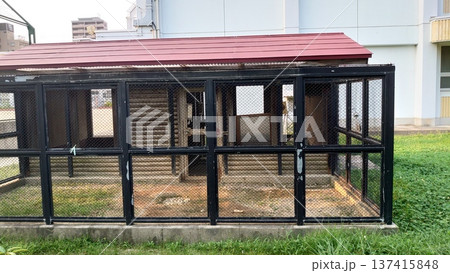 小学校のウサギ小屋 137415848