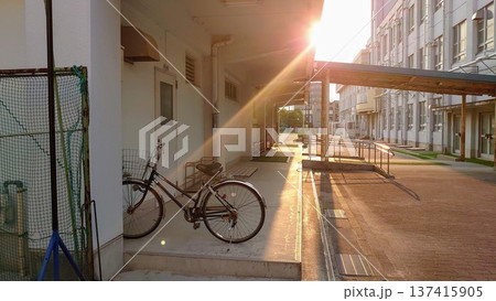 夕暮れの小学校 137415905