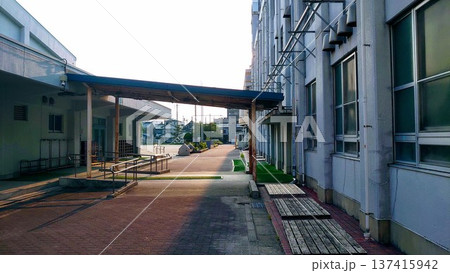 夕暮れの小学校 夕暮れの小学校 137415942