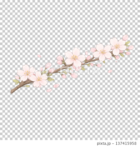 シンプルな桜の枝のイラスト 137415958