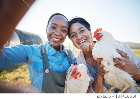 Smile, selfie or farmers on farm with chickens on field harvesting poultry livestock in small business. Social media, happy or portrait of women with animal or hen to take a photo for farming memory 137416614