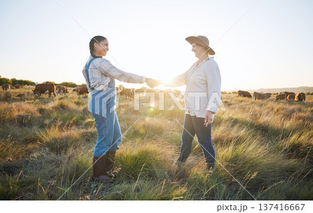 Farmers, shaking hands or b2b partnership deal for sustainability, agriculture or meat production on field. Success, handshake or happy people meeting in cattle farming small business collaboration Farmers, shaking hands or b2b partnership deal for sustainability, agriculture or meat production on field. Success, handshake or happy people meeting in cattle farming small business collaboration 137416667