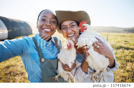 Smile, selfie or farmers on a chicken farm in countryside on field harvesting livestock in small business. Social media, happy or portrait of women with animal birds to take photo for farming memory Smile, selfie or farmers on a chicken farm in countryside on field harvesting livestock in small business. Social media, happy or portrait of women with animal birds to take photo for farming memory 137416674