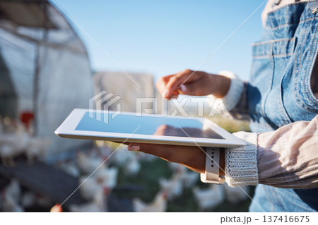 Agriculture, tablet and farm with hands of person in nature for chicken, sustainability and planning. Technology, animals and monitor with closeup of farmer in countryside field for digital research Agriculture, tablet and farm with hands of person in nature for chicken, sustainability and planning. Technology, animals and monitor with closeup of farmer in countryside field for digital research 137416675