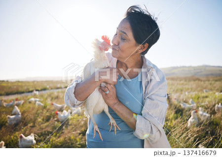 Agriculture, farm and a woman kiss chicken outdoor for animal care, development and small business. Farming, sustainability and a happy poultry farmer person with organic produce in the countryside Agriculture, farm and a woman kiss chicken outdoor for animal care, development and small business. Farming, sustainability and a happy poultry farmer person with organic produce in the countryside 137416679