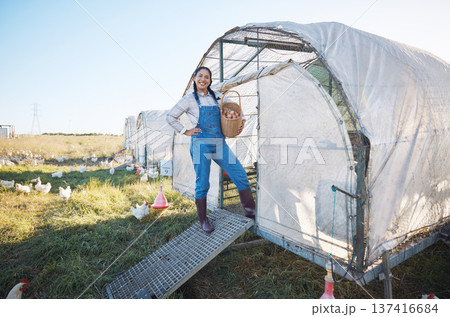 Chicken farming, happy woman with eggs in basket, coop and sunshine in countryside greenhouse with sustainable business. Agriculture, poultry farm and farmer with smile, food and animals in nature. Chicken farming, happy woman with eggs in basket, coop and sunshine in countryside greenhouse with sustainable business. Agriculture, poultry farm and farmer with smile, food and animals in nature. 137416684