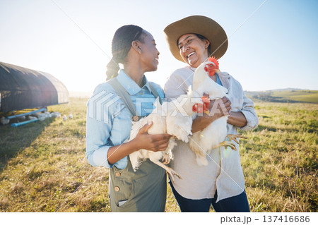 Happy, team of women and chicken on farm in agriculture, bird or meat production in countryside, field or land outdoor. Smile, poultry farming and collaboration of people in agro for animal livestock Happy, team of women and chicken on farm in agriculture, bird or meat production in countryside, field or land outdoor. Smile, poultry farming and collaboration of people in agro for animal livestock 137416686