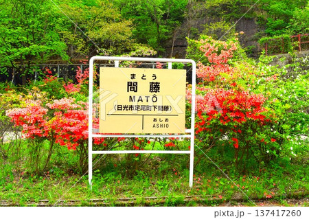わたらせ渓谷鐵道 間藤駅の駅名看板とツツジ（栃木県日光市） 137417260