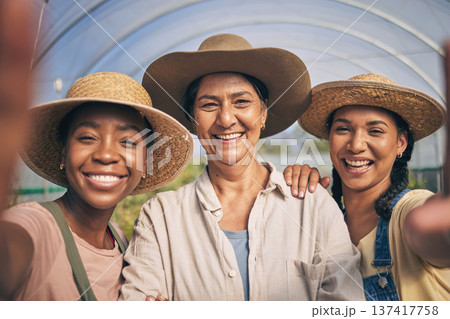 Greenhouse, smile and selfie of group of women in farming, sustainable small business and agriculture. Portrait of happy friends at vegetable farm, diversity and growth in summer with agro farmer. Greenhouse, smile and selfie of group of women in farming, sustainable small business and agriculture. Portrait of happy friends at vegetable farm, diversity and growth in summer with agro farmer. 137417758