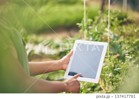 Hands on tablet, screen and woman on farm, research internet website and information on plants. Nature, technology and farmer with digital app for sustainability, agriculture and analysis in garden. Hands on tablet, screen and woman on farm, research internet website and information on plants. Nature, technology and farmer with digital app for sustainability, agriculture and analysis in garden. 137417781