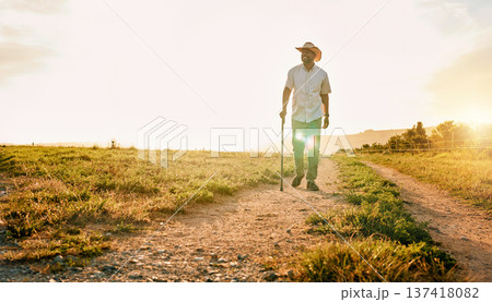 Environment, nature and relax with man on farm for sustainability, agriculture and ecology. Happy, peace and sunset with farmer on countryside field for summer, health and calm with mockup space Environment, nature and relax with man on farm for sustainability, agriculture and ecology. Happy, peace and sunset with farmer on countryside field for summer, health and calm with mockup space 137418082