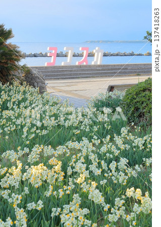 野比海岸水仙ロード 137418263