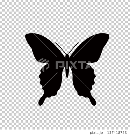 Swallowtail butterfly silhouette illustration Insect silhouette 137418738