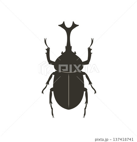 カブトムシのシルエットイラスト　昆虫のシルエット 137418741