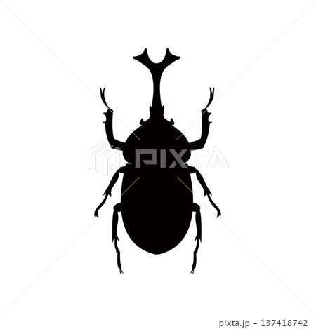 カブトムシのシルエットイラスト 昆虫のシルエット カブトムシのシルエットイラスト 昆虫のシルエット 137418742