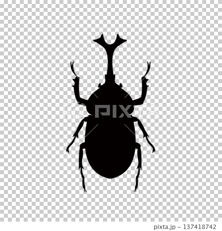 カブトムシのシルエットイラスト 昆虫のシルエット カブトムシのシルエットイラスト 昆虫のシルエット 137418742
