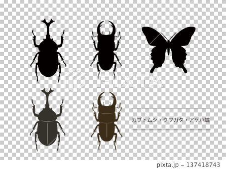 Insect silhouette illustrations: Beetle, stag beetle, and butterfly silhouette illustrations Insect silhouette illustrations: Beetle, stag beetle, and butterfly silhouette illustrations 137418743